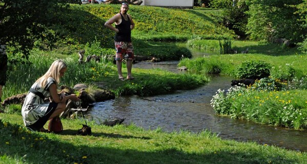 Adaptace na změnu klimatu