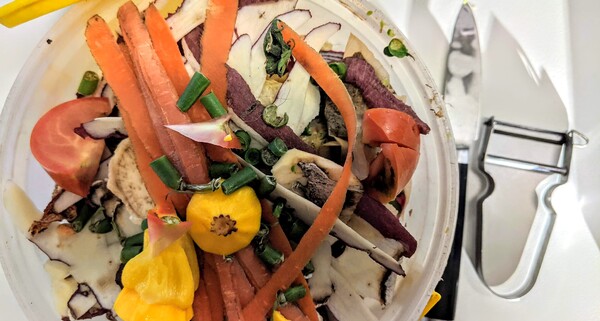 Nakládání s gastroodpadem