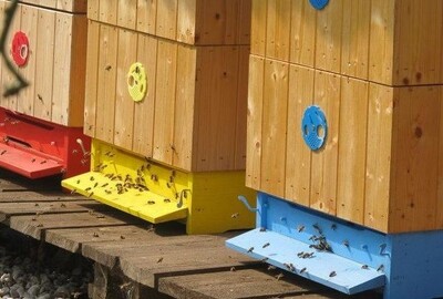 Pištín: V obci je nové Muzeum včelařství a zemědělství