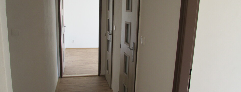 Zajištění standardního bydlení i pro nízkopříjmové domácnosti Zajištění standardního bydlení i pro nízkopříjmové domácnosti